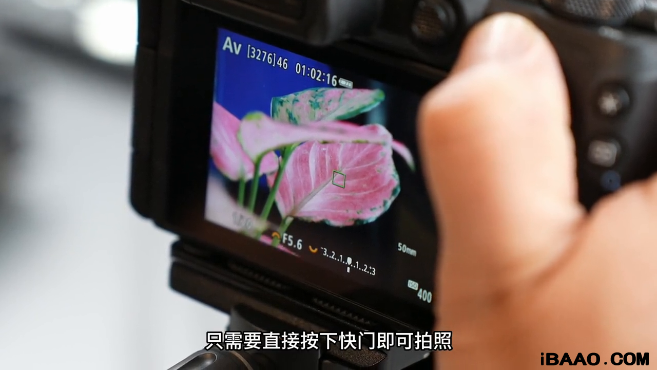 佳能数码相机怎么用使用教程图解.png